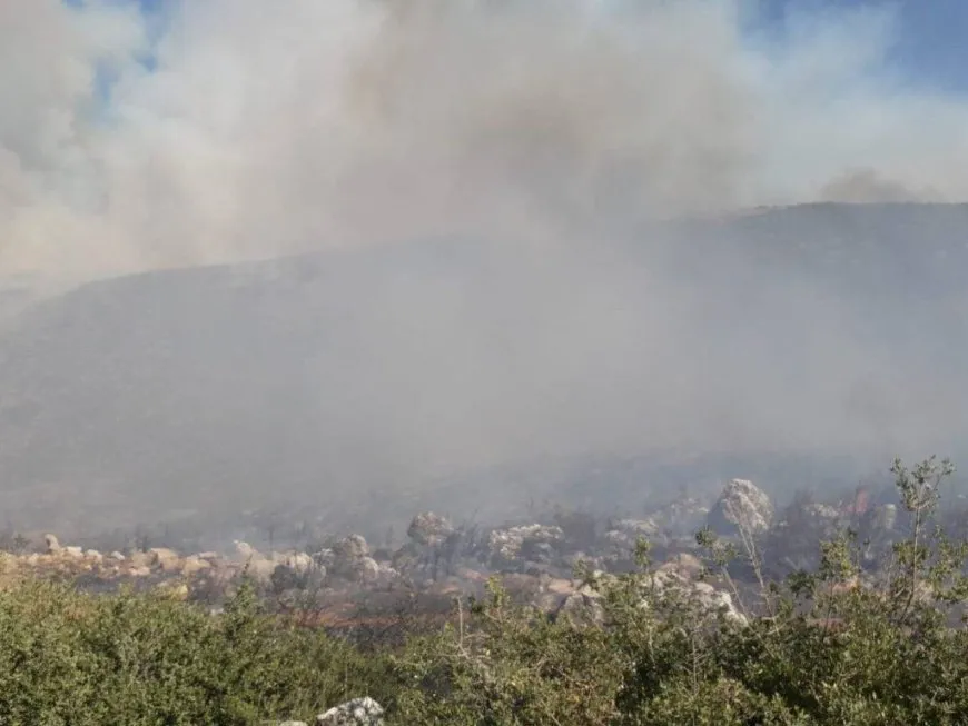 ANHA Agency documents names of affected by arson fires in occupied Afrin