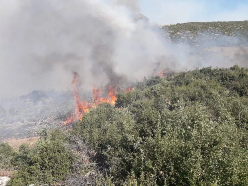 ANHA Agency documents names of affected by arson fires in occupied Afrin