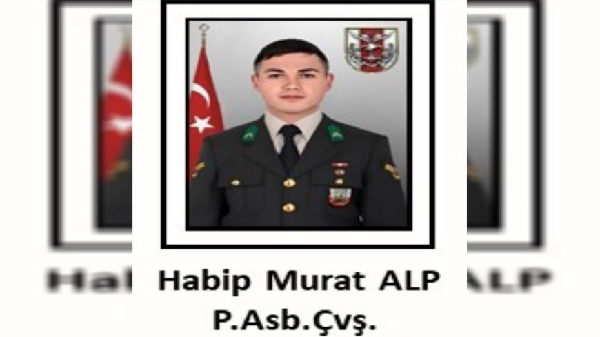 Turkish army infantry sergeant killed in Zap