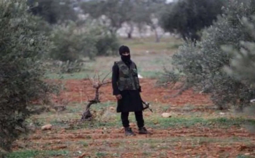 Kidnapping and imposing royalties  in occupied Afrin