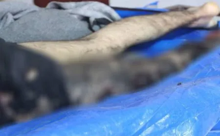 Citizen martyred in Turkish bombing on Sherawa