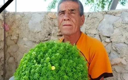 Body of citizen found in occupied Afrin