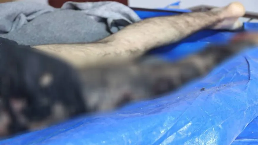 Citizen martyred in Turkish bombing on Sherawa
