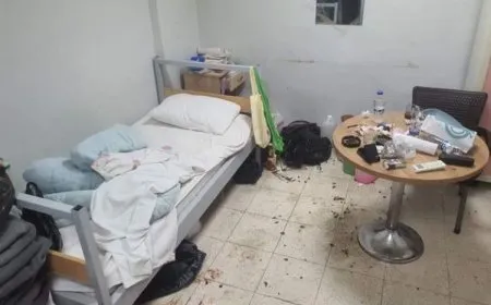 Female doctor severely beaten in occupied Girê Spî