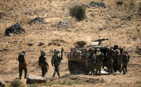 Pro-Damascus newspaper: No Israeli incursion into Syrian territory