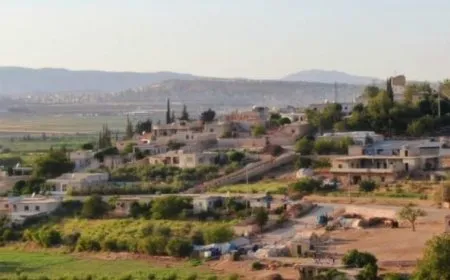 Crimes by Turkish occupation mercenaries in Afrin: kidnapping, theft, infighting