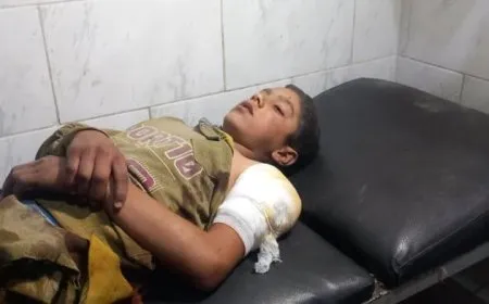 3 children martyred, injured in Turkish shelling on Manbij countryside