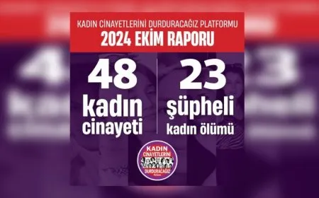 Platform We Will Stop Femicide: 48 Women Killed in Turkey