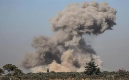86 people killed, injured in Israeli bombing on Palmyra