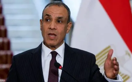 Cairo declares its support for Damascus regarding recent developments in Aleppo