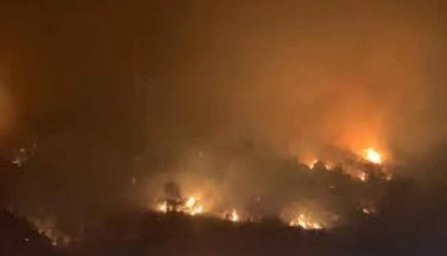 Northern Latakia countryside engulfed in flames