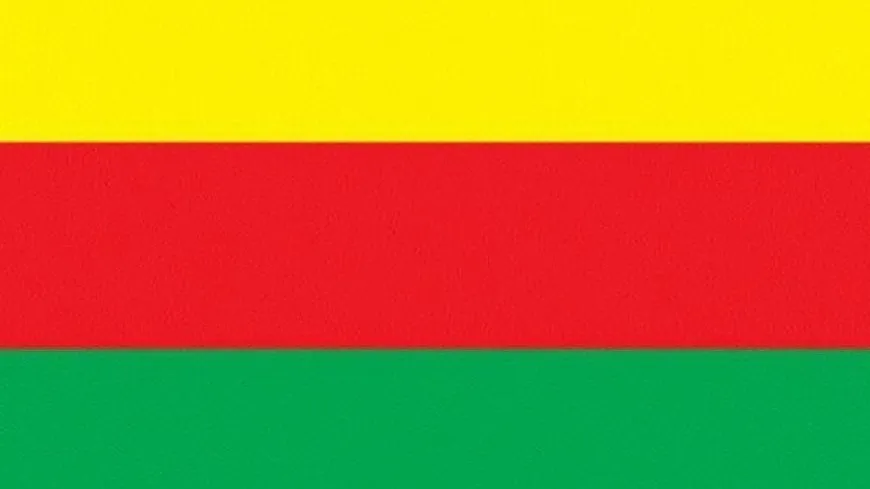 TEV DEM congratulated Kurdistan and the world on PKK's 46 anniversary