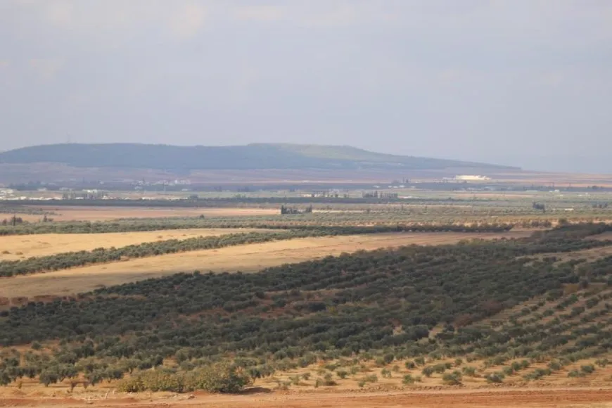  Turkish attacks inflict heavy losses on olive farmers in Manbij