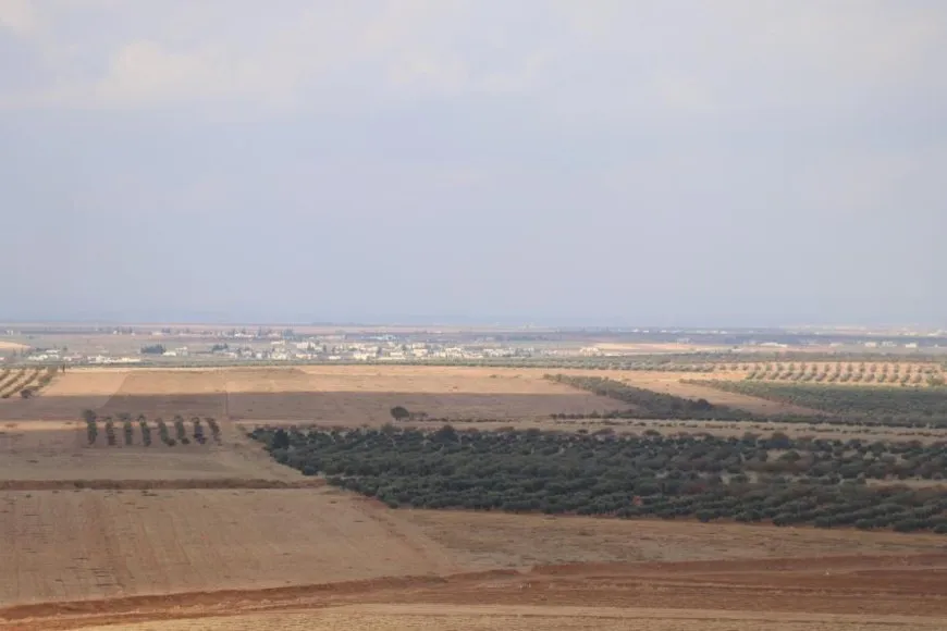  Turkish attacks inflict heavy losses on olive farmers in Manbij