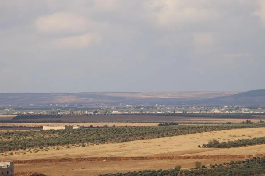  Turkish attacks inflict heavy losses on olive farmers in Manbij