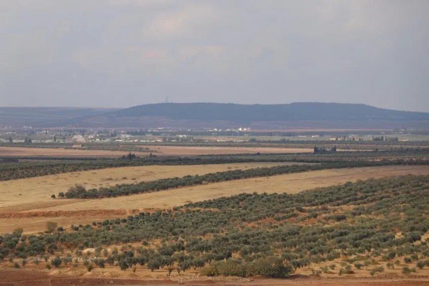  Turkish attacks inflict heavy losses on olive farmers in Manbij