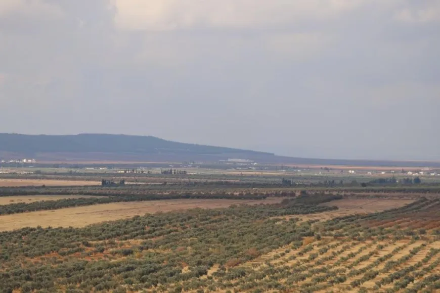  Turkish attacks inflict heavy losses on olive farmers in Manbij