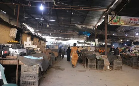 Food supply shortage and loss of vegetables in Sheikh Maqsoud