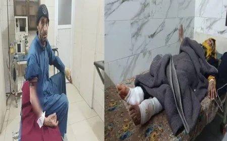 2 citizens injured in Turkish occupation shelling on Manbij countryside