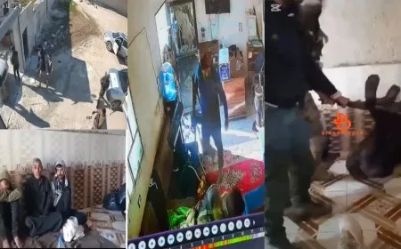 Myriad crimes of Turkish occupation, its mercenaries in Manbij city