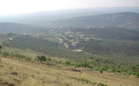 Turkish occupation mercenaries continue to commit crimes in Afrin