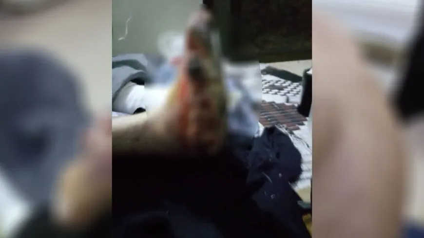 In “Saydnaya Afrin”, people are roasted alive
