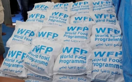 WFP gets notices to end service contracts in Syria, other Nations