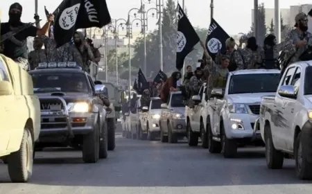 New York Times: ISIS regains strength in Syria