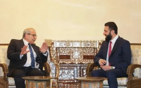 Lebanese government source reveals what Salam will discuss in Syria