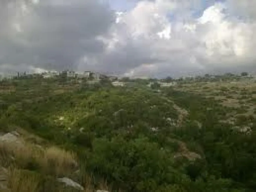 After the massacre, residents of  village in Baniyas spend night in woods