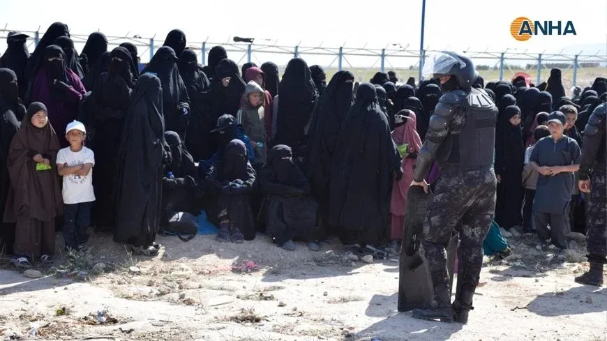 ISIS cells arrested during sweep operations in al-Hol Camp