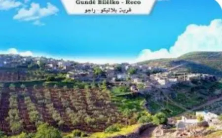 Settlers assault village mukhtar in occupied Afrin