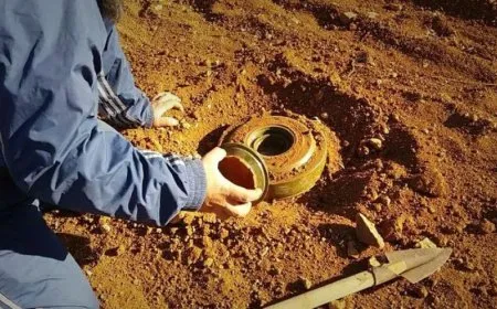 14 people killed in Syria through one day