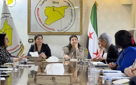 Plan of Women's Coordination in SDC to enhance women's political, social participation