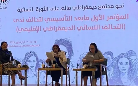 Recommendations to transform NADA Alliance into influential regional platform