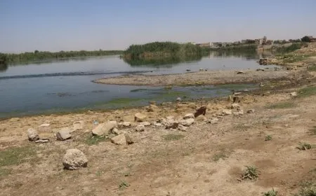 Drought, Turkey exacerbate crisis of NE, Syrian farmers