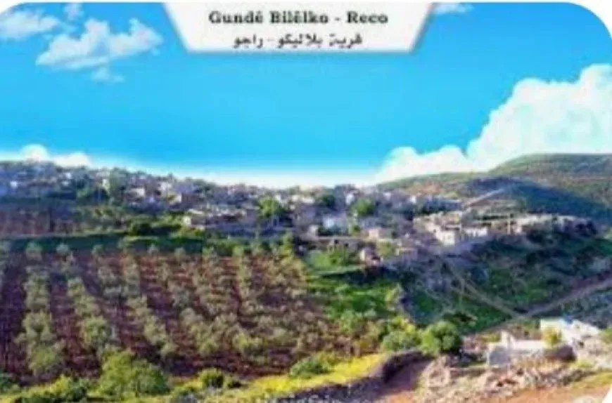 Settlers assault village mukhtar in occupied Afrin