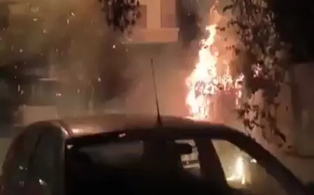 Massive fire engulfs Al-Jahez Park in Damascus
