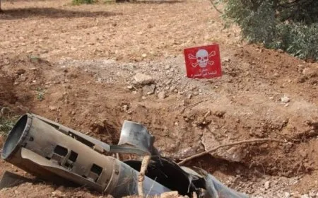Eight people killed in Syria within one day