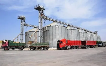 115,000 tons of wheat delivered in Jazira since beginning of season
