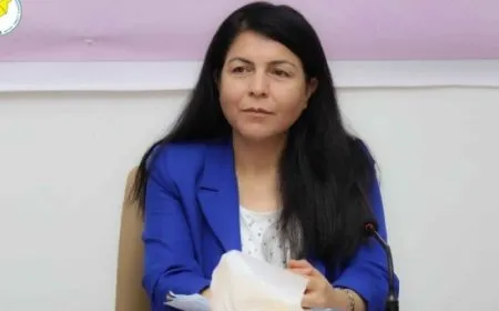 co-chair SDC Calls for end to violence in Sweida: Syrian dialogue key to rebuilding country