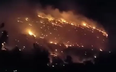 Fires break out in Hama countryside, occupied Afrin