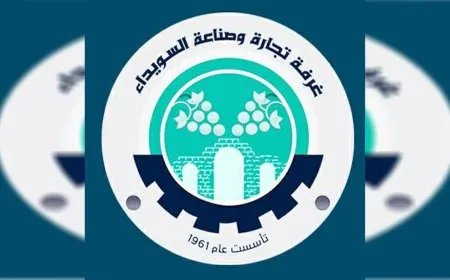 Nabih Bakry: Aid is UN-sponsored, government misleading public opinion