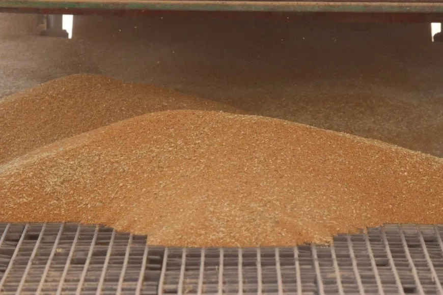 Over 282,000 tons of wheat gathered in NE Syria