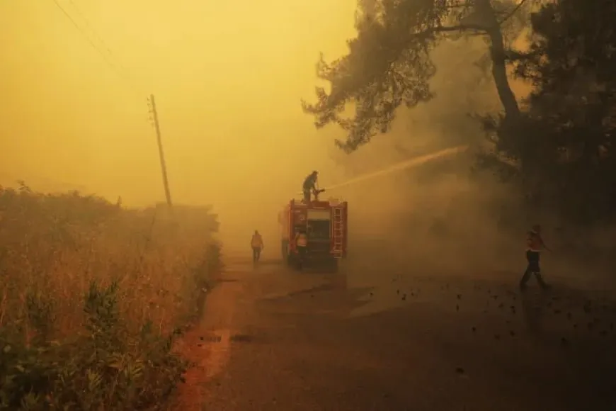 Lattakia fires..flames reach Farnaq Reserve
