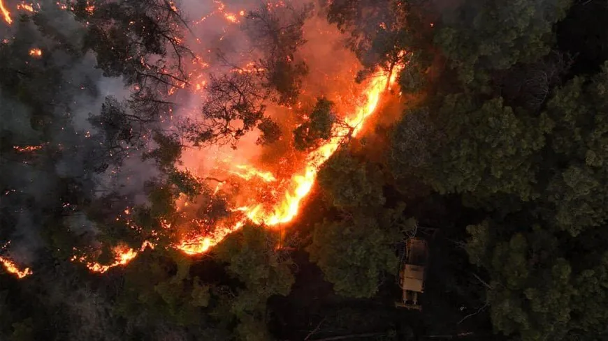 Syria appeals to European Union for help extinguishing coastal fires