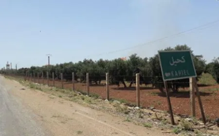 Woman killed in shooting on vehicles in Daraa