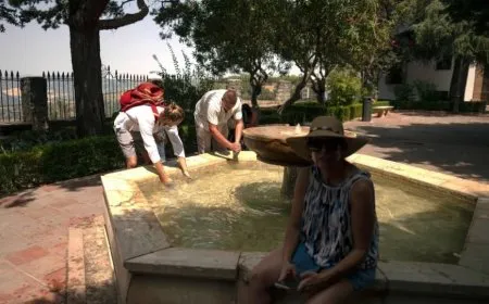 More than 1,100 deaths due to heatwave in Spain
