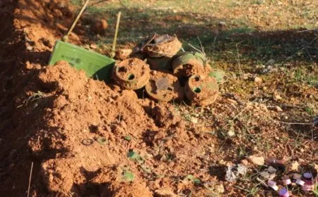 Dozens of people killed by mine explosions in Syria during August