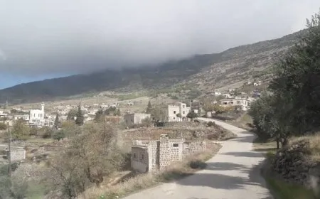 Turkish-backed mercenaries prevent local residents from harvesting Olives